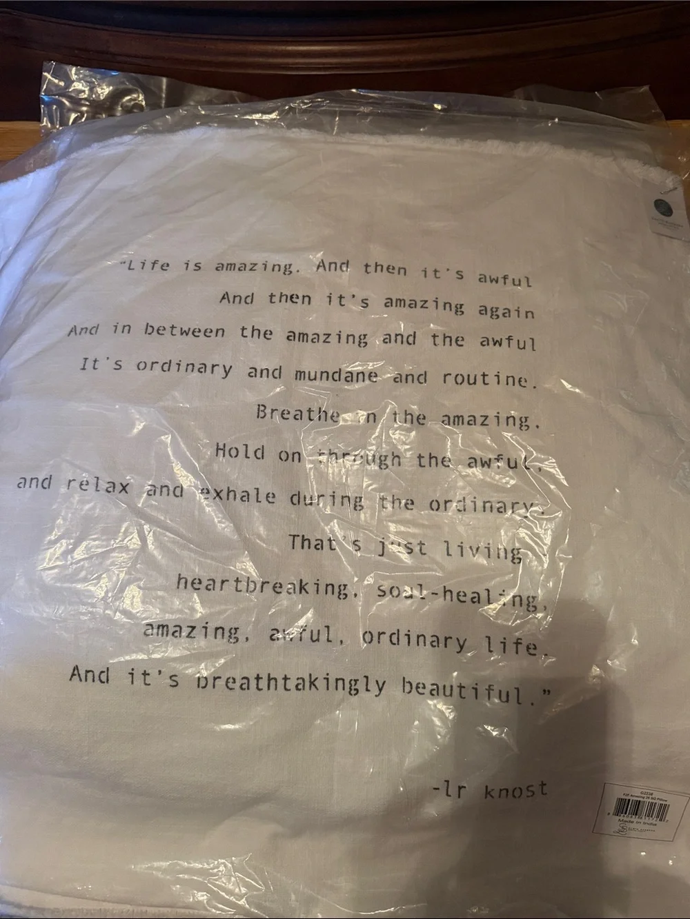 Brand new with tags down filled Santa Barbara Designs pillow and cover